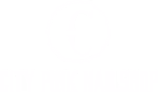 press on nails – City Pink Nailshop